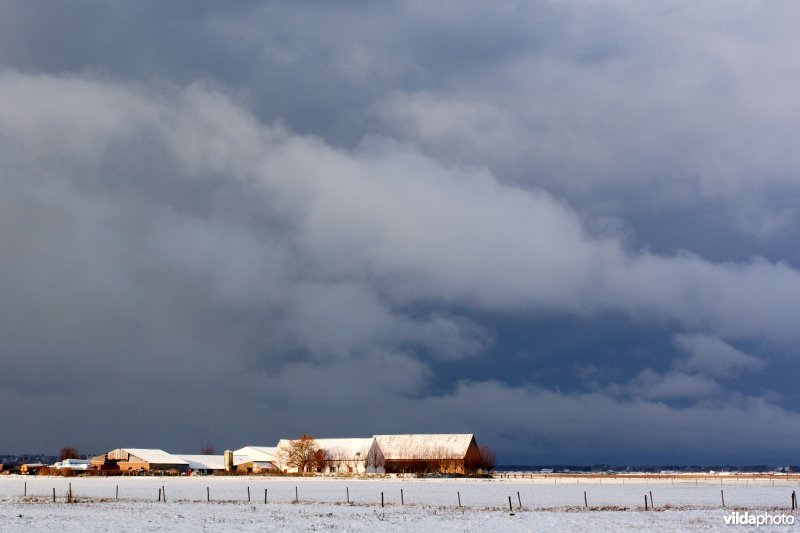 Winterstorm boven de Uitkerse polders