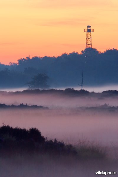 Uitkijktoren op de heide bij zonsopgang