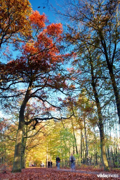 Herfstkleuren en recreanten