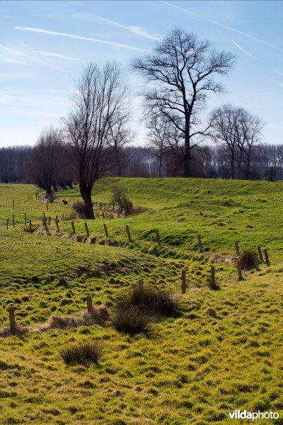 Microreliëf, een kronkelende gracht en dijk