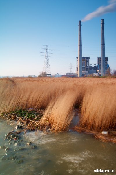 Electriciteitscentrale langs de Schelde