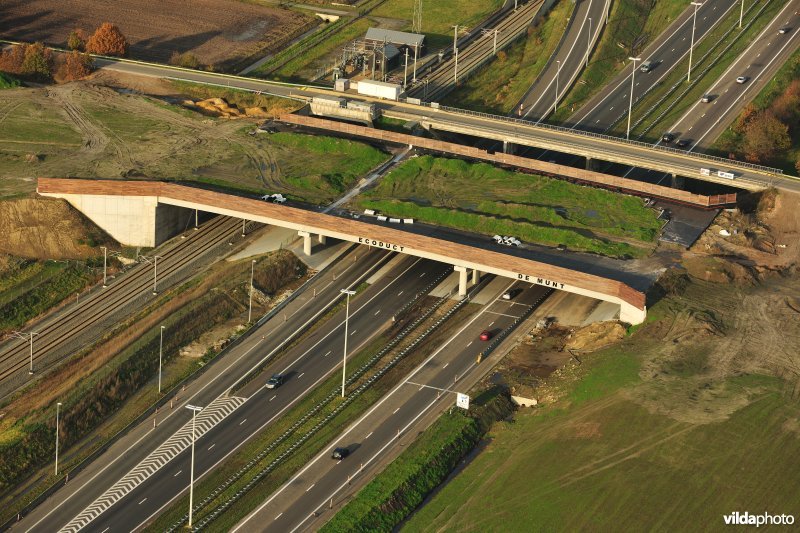 Ecoduct De Munt op de E19 snelweg