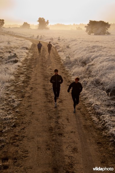 Hardlopers op een zandweg