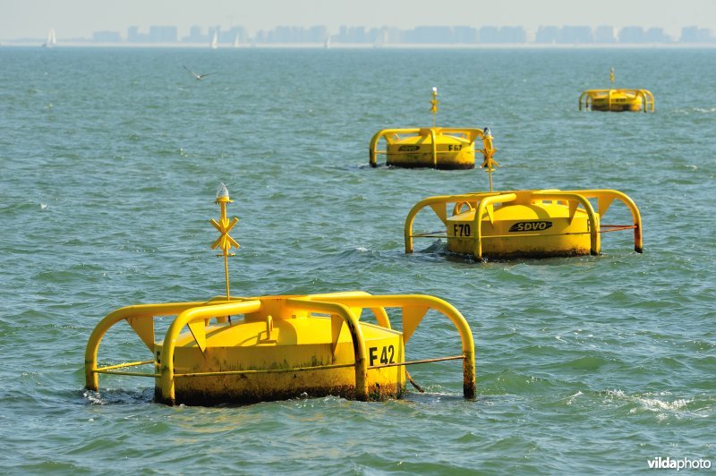 Mosselkweekboeien in de Noordzee