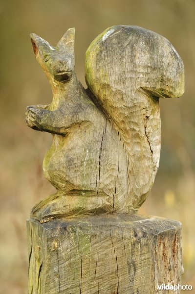 Houtsculptuur van eekhoorn