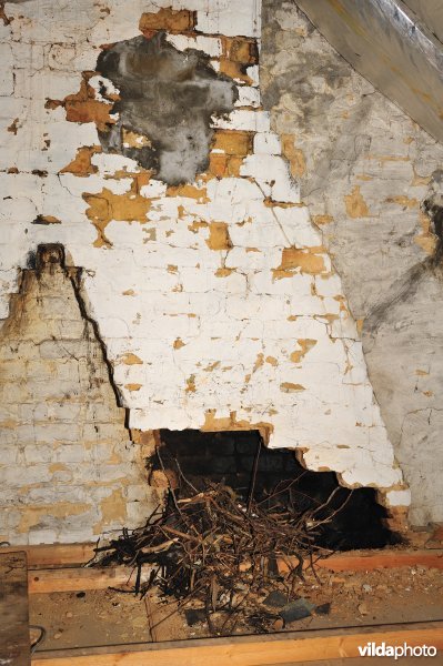 Nestmateriaal van Kauwen in opengekapte schouw