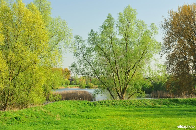 Weijmeerbroek