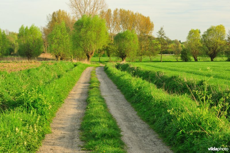 Laag-Vlaanderen