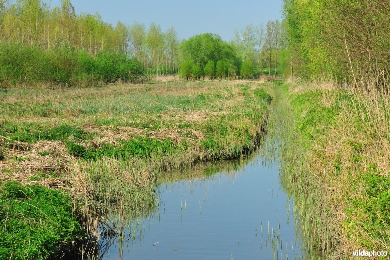 Vlassenbroekse polders