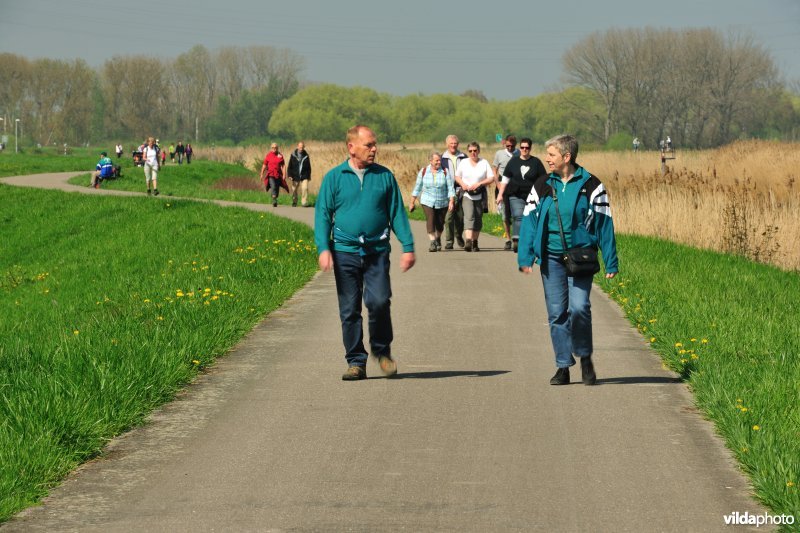 Wandelaars op de Dijledijk