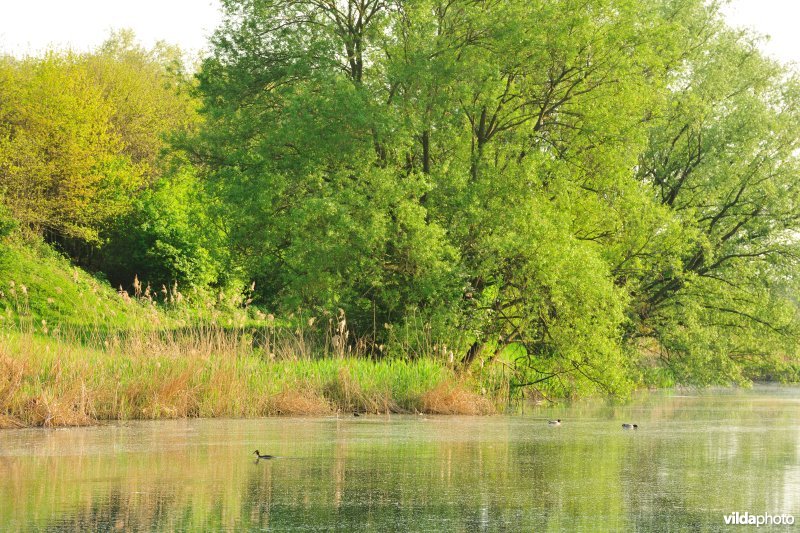 Oude Leie-meander