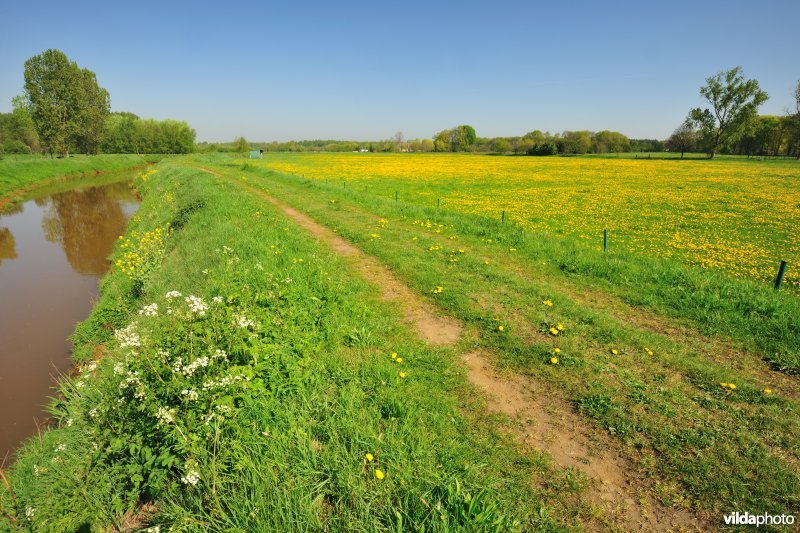 Vallei van de Grote Nete