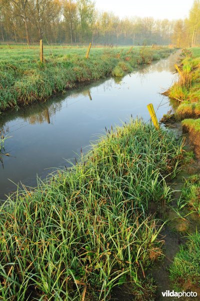 KBR polder