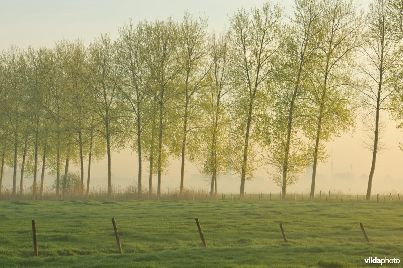 KBR polder