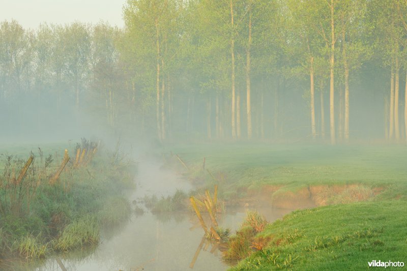 KBR polder