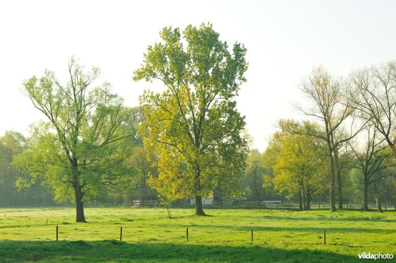 Vallei van de Grote Nete