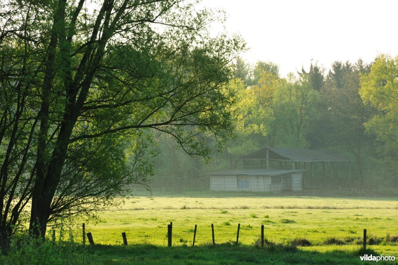 Vallei van de Grote Nete