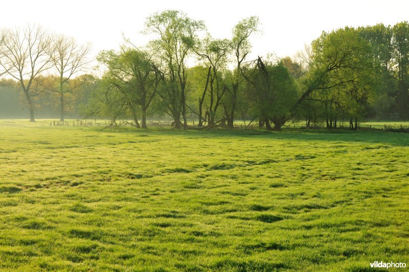 Vallei van de Grote Nete