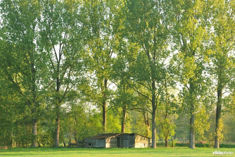 Schuur in de vallei van de Grote Nete