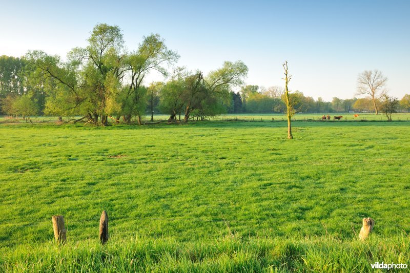 Vallei van de Grote Nete