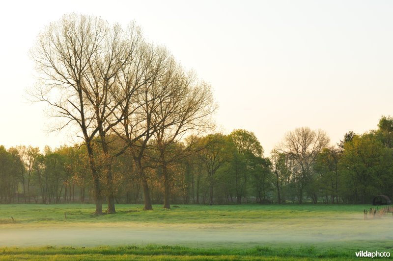 Vallei van de Grote Nete