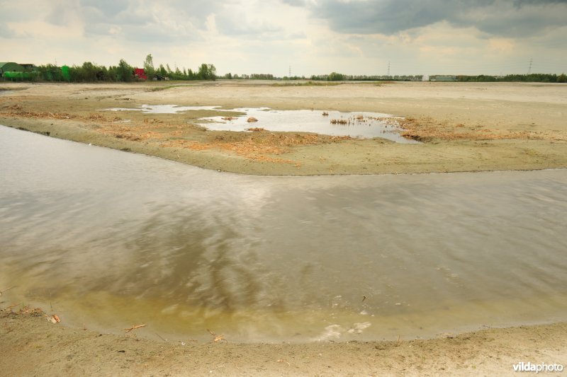 Vlakte van Zwijndrecht