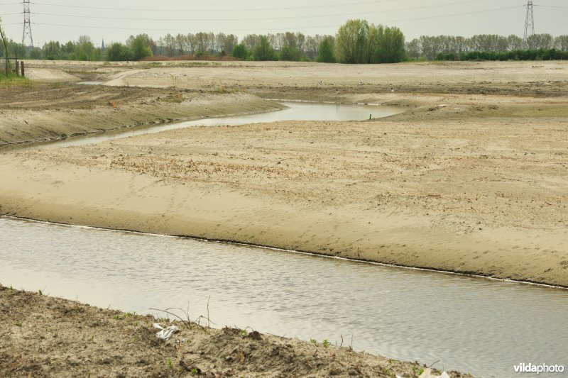 Vlakte van Zwijndrecht