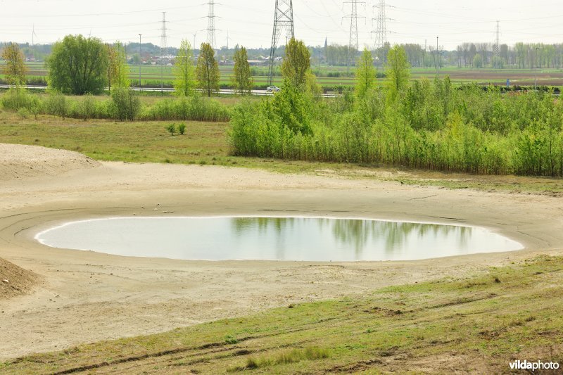 Natuurreservaat op Linkeroever