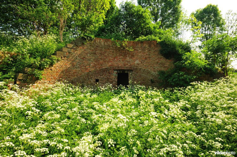 Fort Liefkenshoek