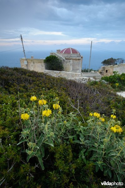 Kapel bij Siggiewi op Malta