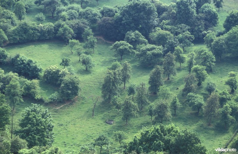 Luchtfoto van de Sintpietersberg