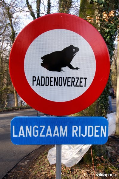 Paddenoverzet