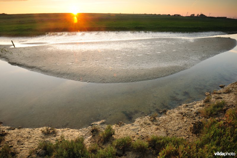 Reservaat De Ijzermonding