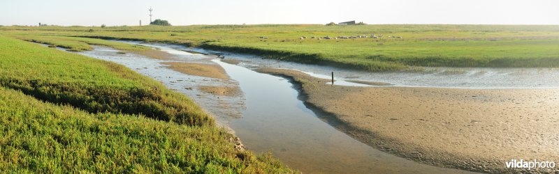 Reservaat De Ijzermonding