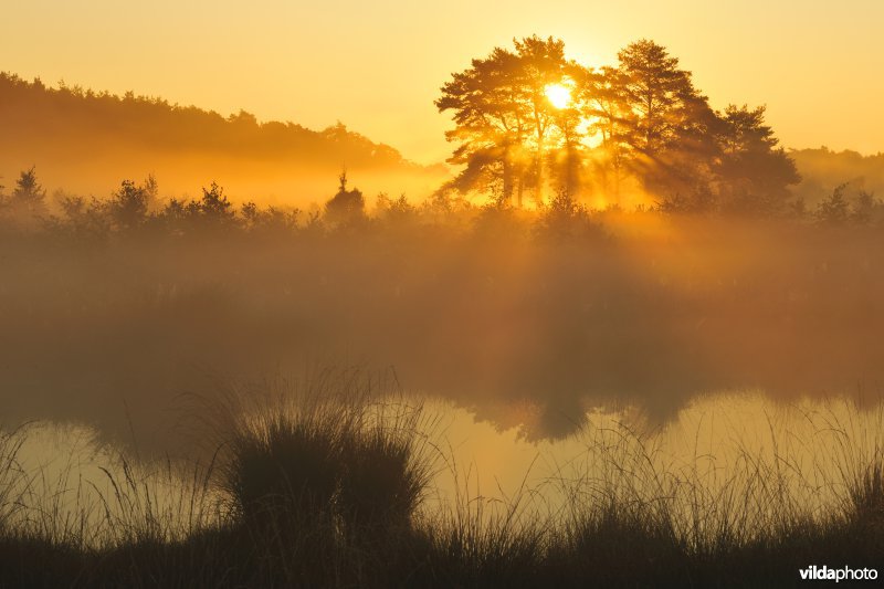 Natuurreservaat De Teut