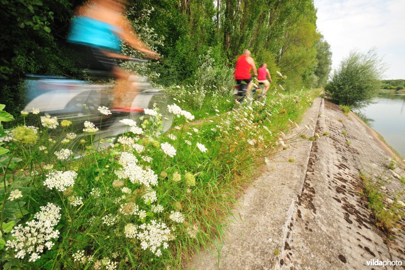 Fietsen langs het Kanaalbos
