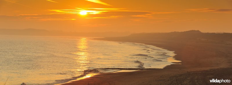 Strand aan de Zwinmonding