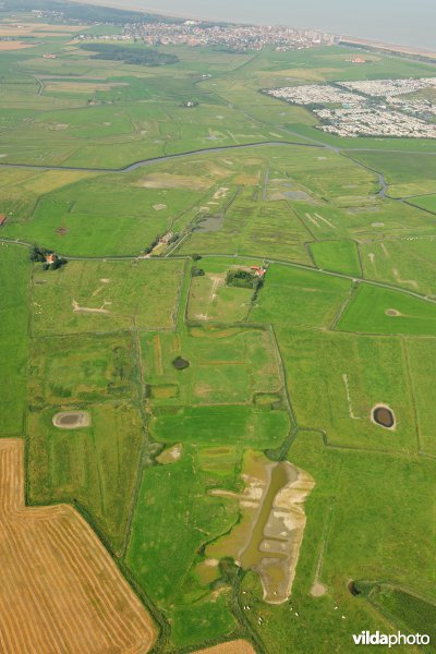 Uitkerkse Polders