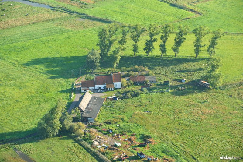 Dudzeelse polder
