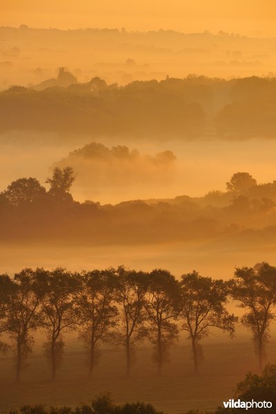 Blankaart en Vijfhuizenbroek