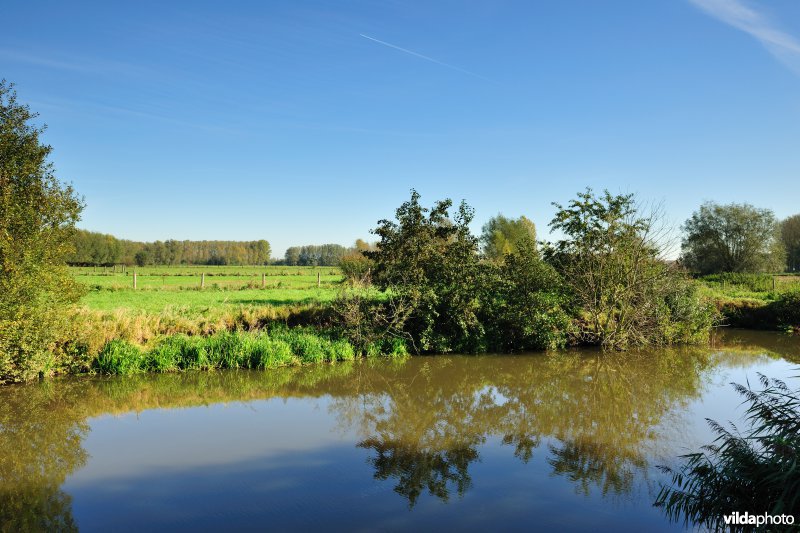 Kalkense meersen