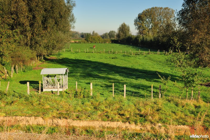 Kalkense meersen