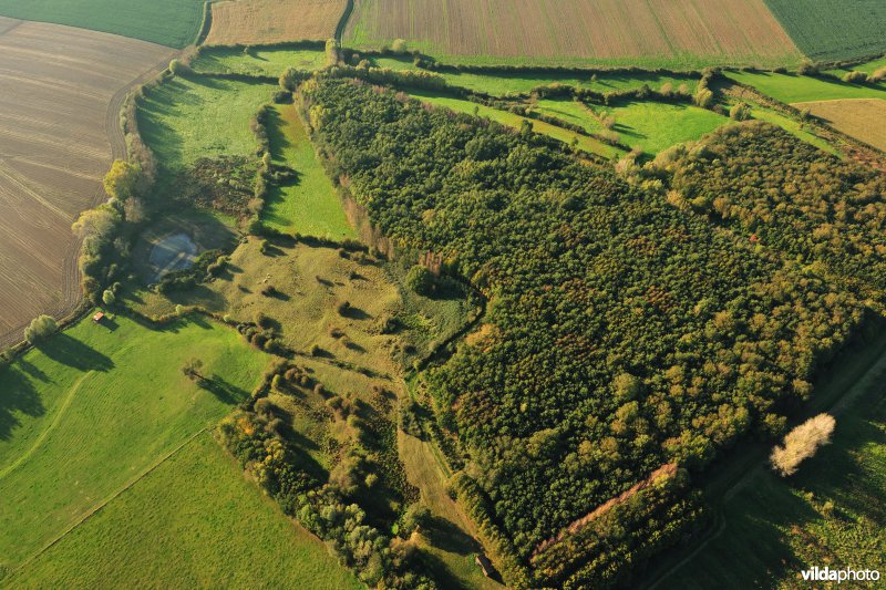 Natuurreservaat Het Eeuwenhout