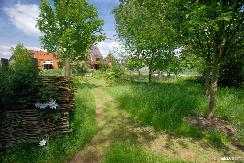 Natuurvriendelijke tuin