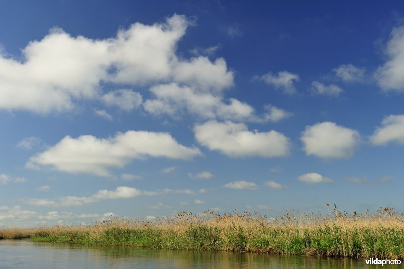 Vallei van de Biebrza