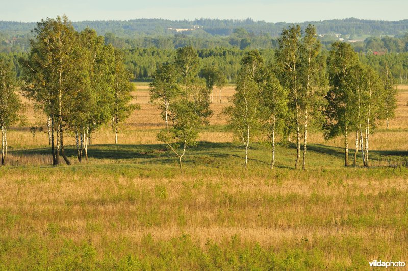 Vallei van de Biebrza