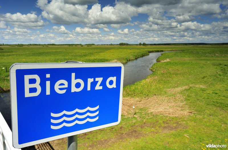 Vallei van de Biebrza