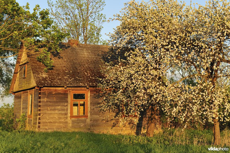 Huis in de vallei van de Biebrza