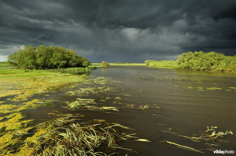 Vallei van de Biebrza