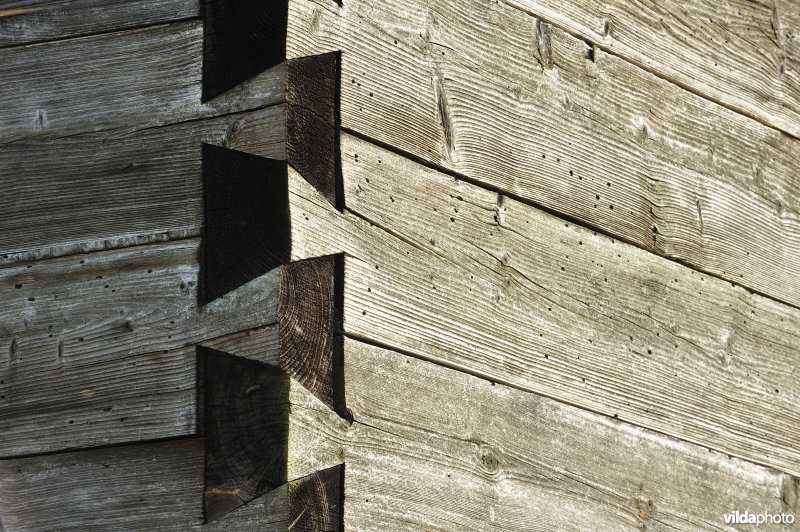 Zwaluwstaartverbinding